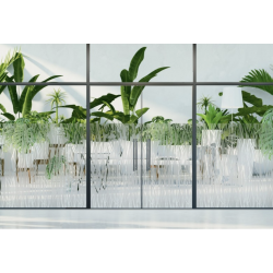 INT 512 Film courbes transparentes